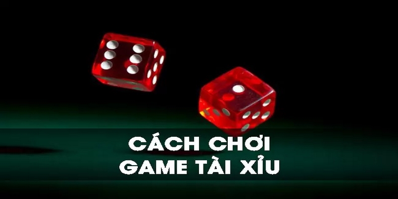 Đăng Ký W88_Cách Chơi Tài Xỉu Giúp Bet Thủ Kiếm Được Bội Tiền