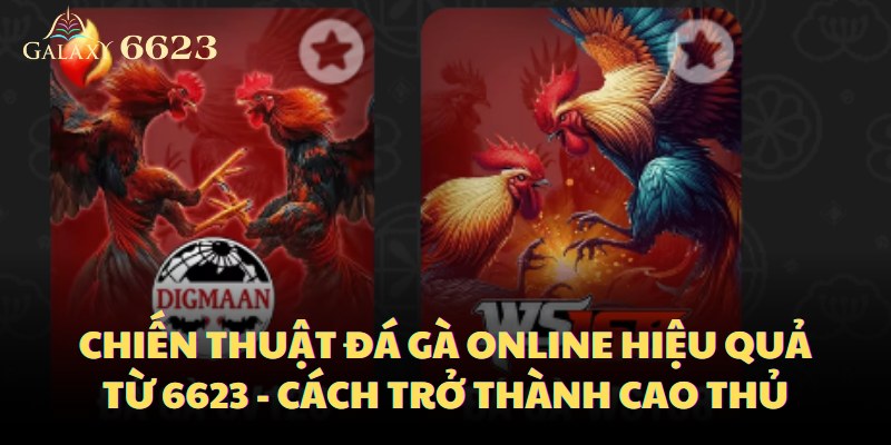 chien-thuat-da-ga-online-hieu-qua-tu-6623-cach-tro-thanh-cao-thu