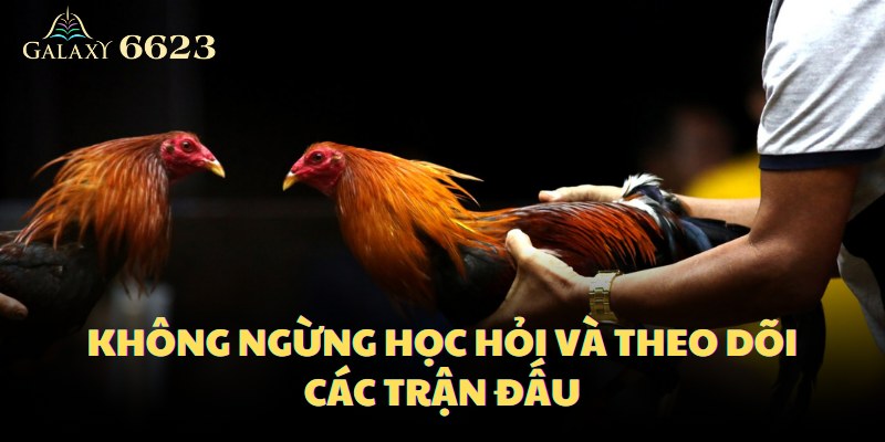 Không ngừng học hỏi và theo dõi các trận đấu